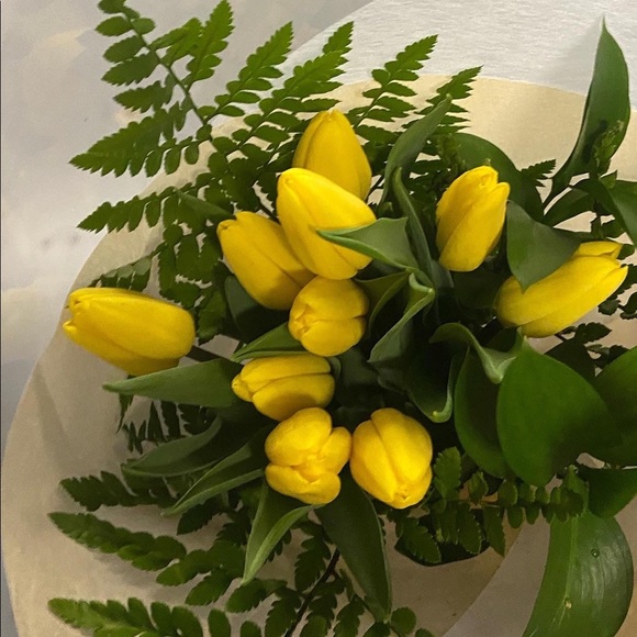 Meet your Posher, Silvia - Picture 1 of 1